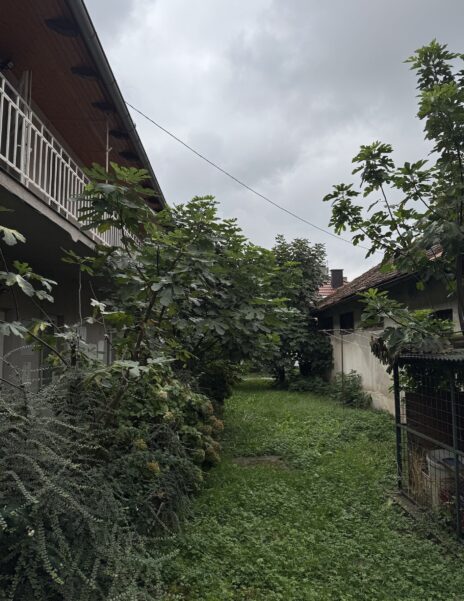 Mali stanovi na Selskoj cesti